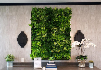 Living plant wall