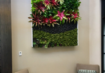 Living Wall with bromeliads and faux accents