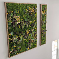 Residential Custom Moss wall