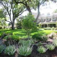 Residential Landscaping