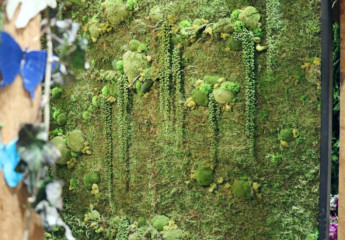 Rental moss wall