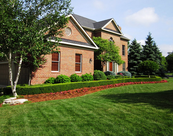 Lawn Seeding and Sodding