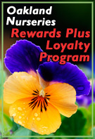 Rewards Logo