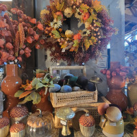 Delaware Garden Center - Fall