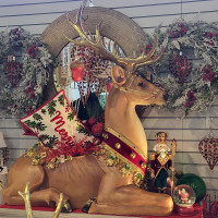 Delaware Garden Center - Holiday