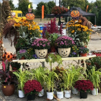 Dublin Garden Center - Fall