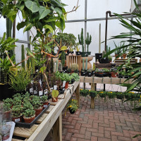 New Albany Garden Center - Winter