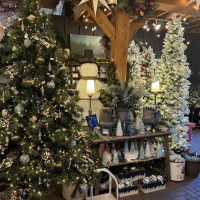 New Albany Garden Center - Holiday