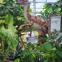 Delaware Garden Center - Greenhouse