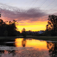 New Albany Garden Center - Fall