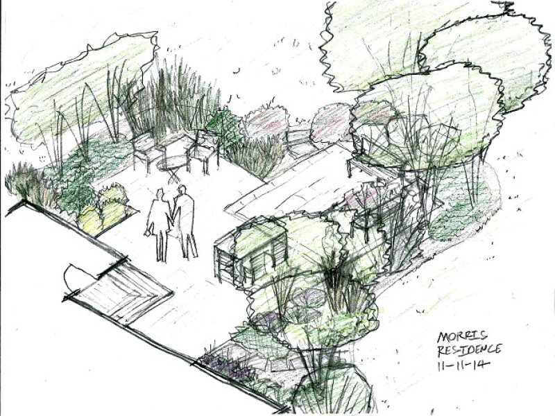 landscape design sketch