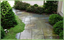 Landscape Contractor - Residential - Oakland